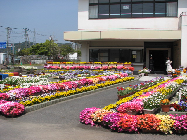 学校の写真