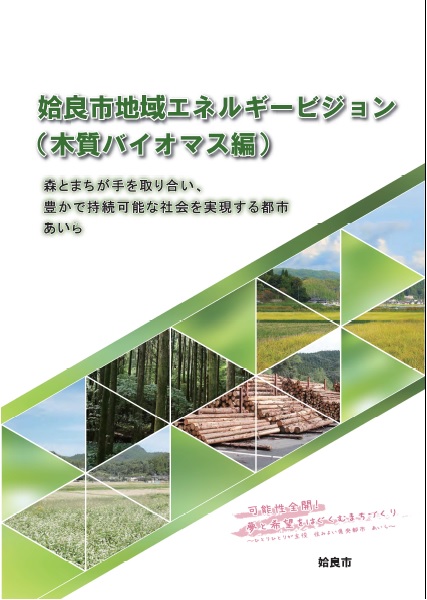 姶良市地域エネルギービジョン(木質バイオマス編)表紙