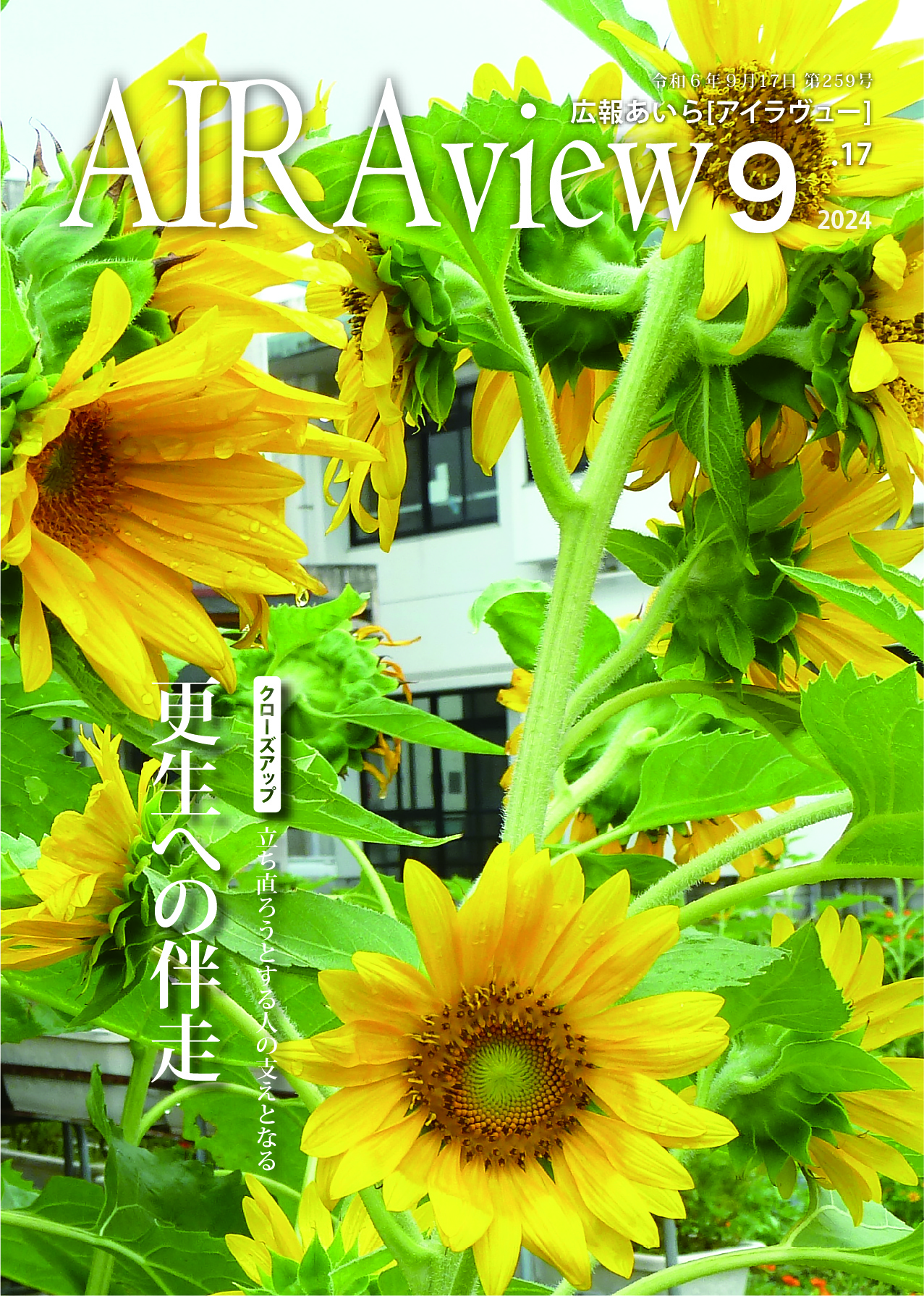 20240917hyoshi01