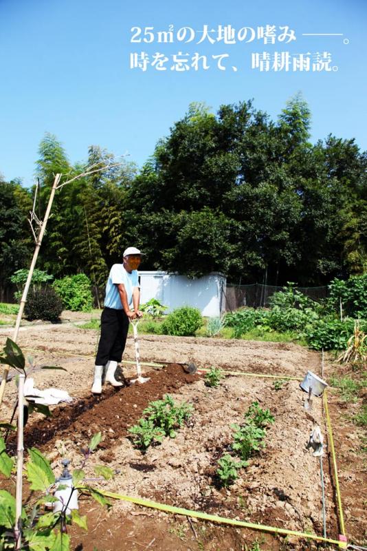 姶良市民農園建昌農園