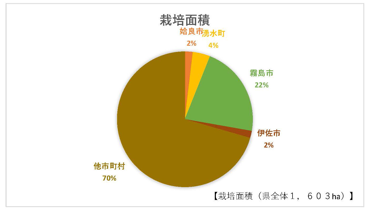 栽培面積