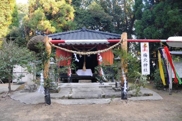 umekita