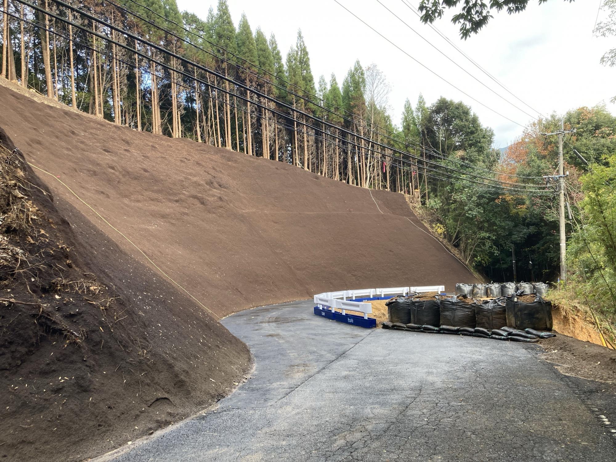 20251219jusantanisigetomi