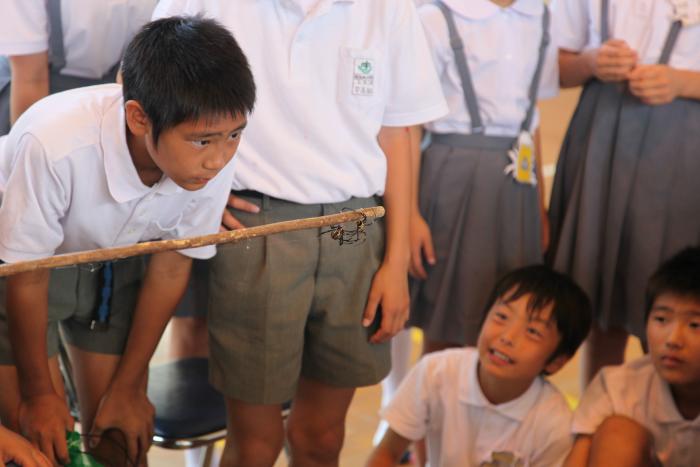 加治木小学校くも合戦