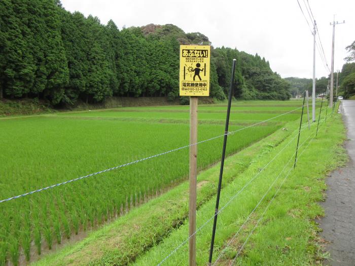 電気柵写真