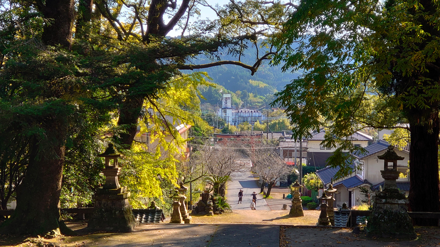 蒲生八幡神社から蒲生庁舎を眺望